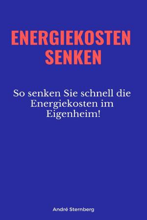 Cover of the book Energiekosten senkenEnergiekosten senken by Ernst-Günther Tietze
