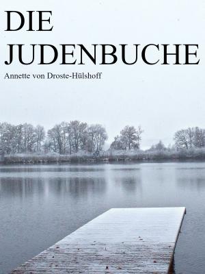 Cover of the book Die Judenbuche by Paul Féval