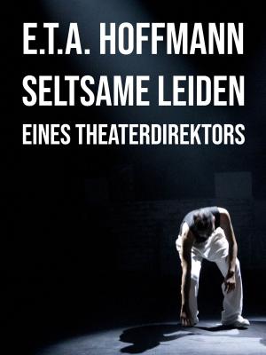 Cover of the book Seltsame Leiden eines Theaterdirektors by Mark Edwards