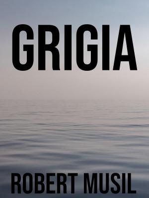 Cover of the book Grigia by Klaus Hinrichsen