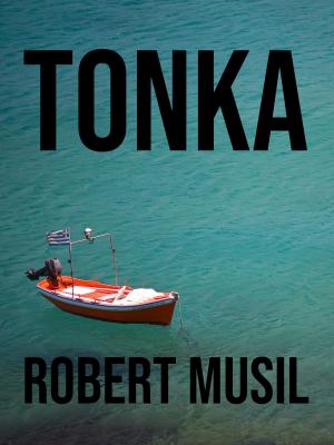 Book cover of Tonka