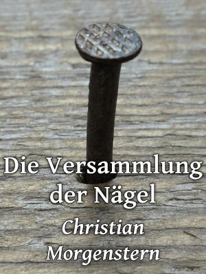 Cover of the book Die Versammlung der Nägel by Jörg Becker