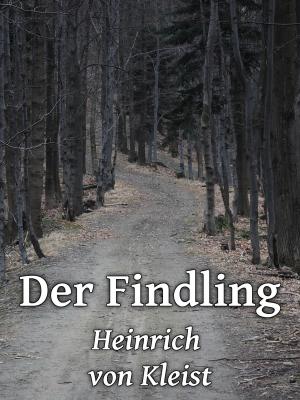 Cover of the book Der Findling by Yoshi Frey