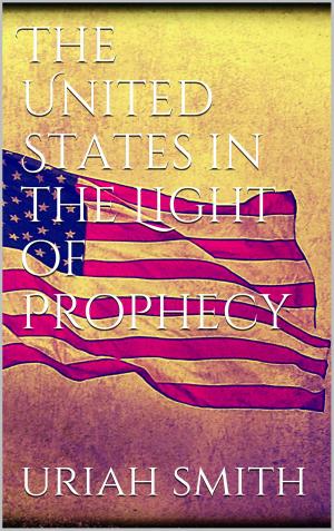 Cover of the book The United States in the Light of Prophecy by Curt Leuch