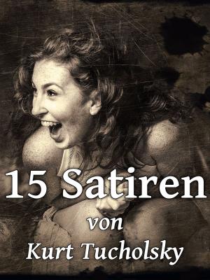 Cover of the book 15 Satiren by Frank Albrecht, Yasemin Iven
