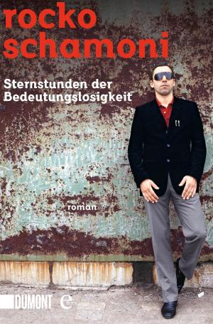 Cover of the book Sternstunden der Bedeutungslosigkeit by Michel Houellebecq