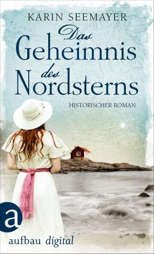 Cover of the book Das Geheimnis des Nordsterns by Karl Olsberg