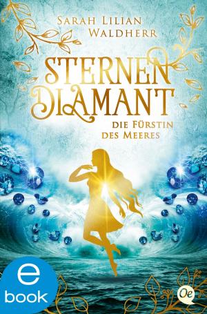 Cover of the book Sternendiamant by Johannes Groschupf, Hauptmann & Kompanie Werbeagentur AG