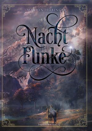 Cover of the book Nachtfunke by K. K. Summer