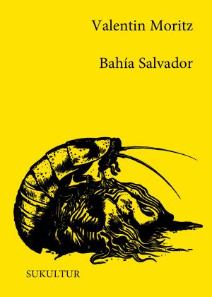 Cover of the book Bahía Salvador by Marc Degens