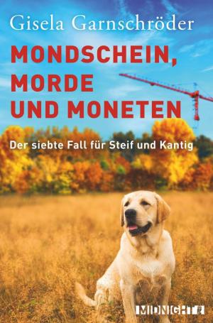 Cover of the book Mondschein, Morde und Moneten by M. Ruth Myers