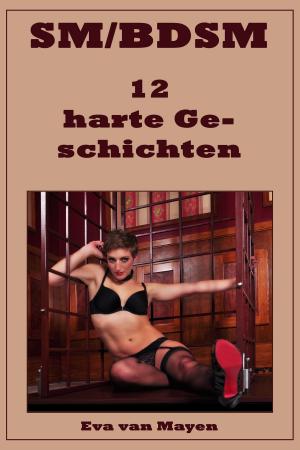 Cover of the book SM/BDSM - 12 harte Geschichten by Angela Minx