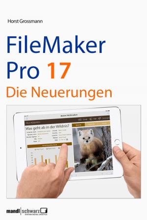 Cover of FileMaker Pro 17