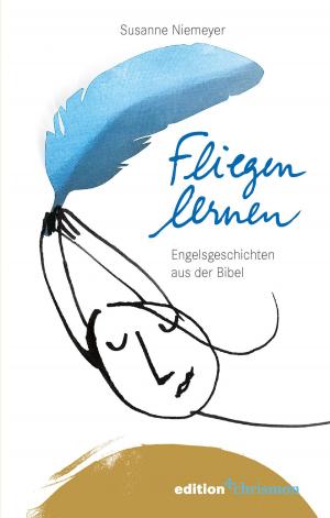 Cover of the book Fliegen lernen by Wolfgang Huber