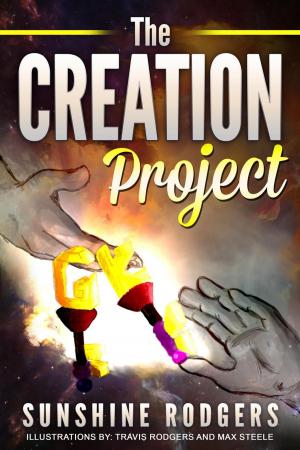 Book cover of The Creation Project