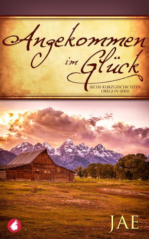 Cover of the book Angekommen im Glück by Cheyenne Blue