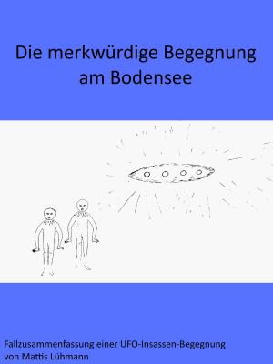 Cover of the book Die merkwürdige Begegnung am Bodensee by Mattis Lühmann