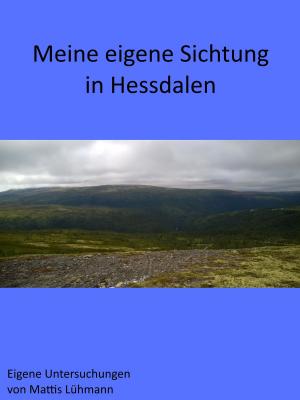 Cover of the book Meine eigene Sichtung in Hessdalen by Mattis Lühmann