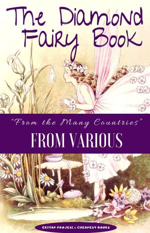 Cover of the book The Diamond Fairy Book by Vairous