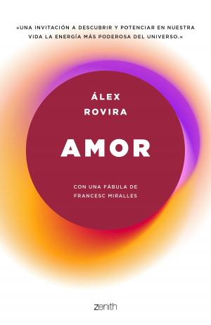Cover of the book Amor by Andy Stalman