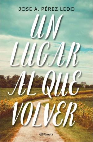 Cover of the book Un lugar al que volver by Mari Cielo Pajares