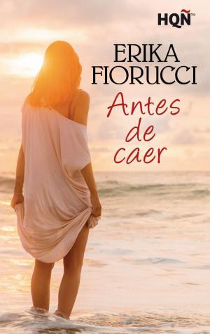 Book cover of Antes de caer