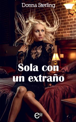 Cover of the book Sola con un extraño by Liz Flaherty