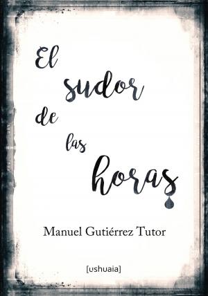 Cover of the book El sudor de las horas by Daniel Huerta Goya