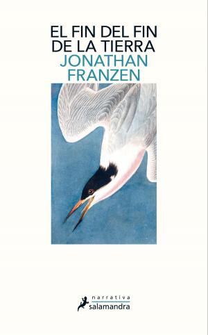 Cover of the book El fin del fin de la tierra by Robert Galbraith