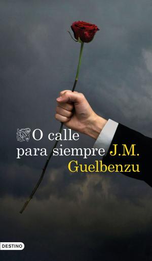 Cover of the book O calle para siempre by Alicia Estrada Alonso