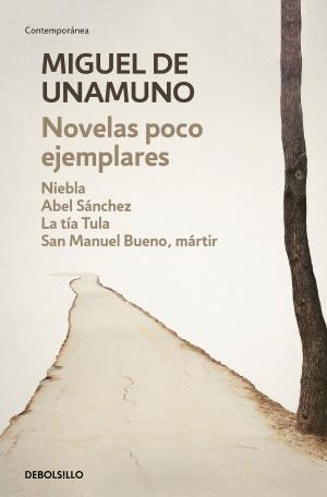 Cover of the book Novelas poco ejemplares by Gutmaro Gómez Bravo