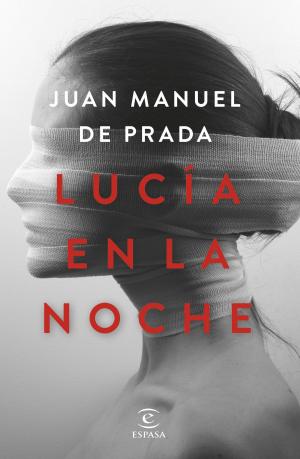 Cover of the book Lucía en la noche by Lucía Taboada, Raquel Córcoles
