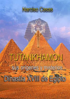 Cover of the book Tutankhamón sus orígenes y misterios Dinastía XVIII de Egipto by Adrián González