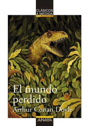 Cover of the book El mundo perdido by Pedro Riera