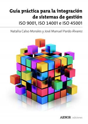 Cover of the book Guía práctica para la integración de sistemas de gestión by ISO (Organización Internacional de Normalización)
