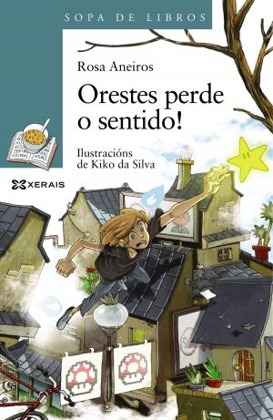 Cover of the book Orestes perde o sentido by Rosa Aneiros