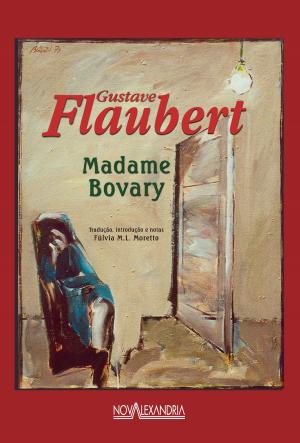 Cover of the book Madame Bovary by Michael Engel