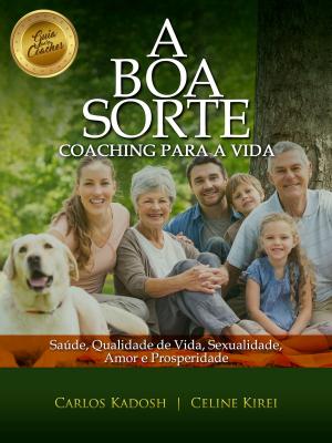 Cover of the book A Boa Sorte by Vincent Adeoba