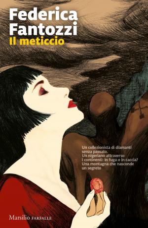 Cover of the book Il meticcio by Camilla Läckberg