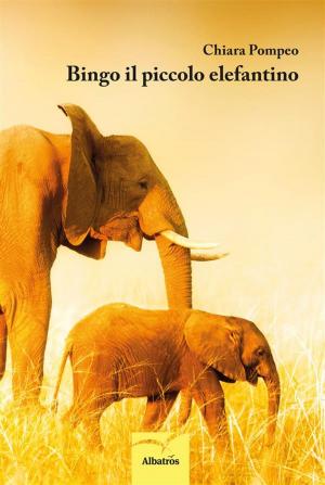 Cover of the book Bingo il piccolo elefantino by Franca La Ferla