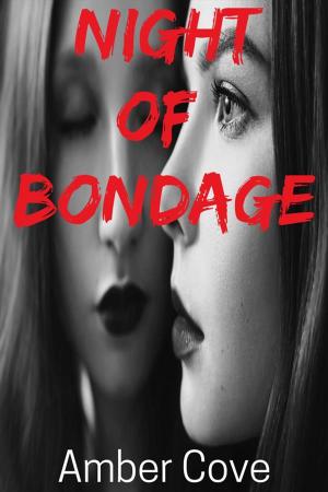 Cover of the book Night of Bondage by Faith Norman