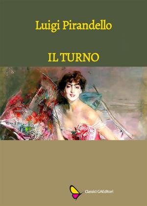 Cover of the book Il turno by Hans Christian Andersen