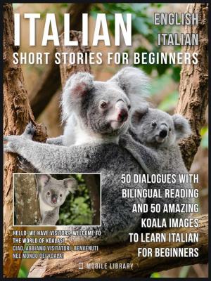 Cover of Italian Short Stories for Beginners - English Italian