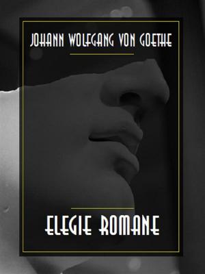 Cover of the book Elegie romane by Maurice Leblanc