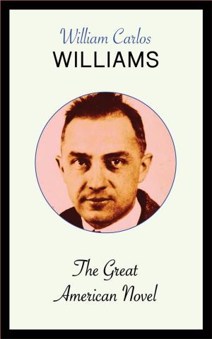 Cover of the book The Great American Novel by Emile Tepperman