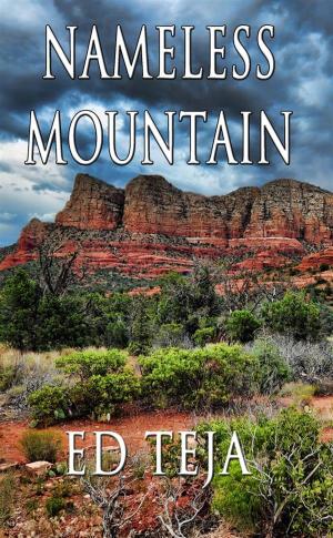 Book cover of Nameless Mountain