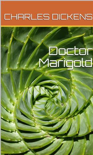 Cover of the book Doctor Marigold by J. R. Ferris