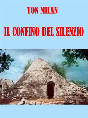 Cover of the book Il confino del silenzio by Eileen Martin