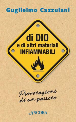 Cover of the book Di Dio e di altri materiali infiammabili by Roberto Allegri