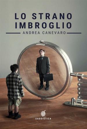 Book cover of Lo strano imbroglio